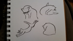 warm up sketches of cat grooming