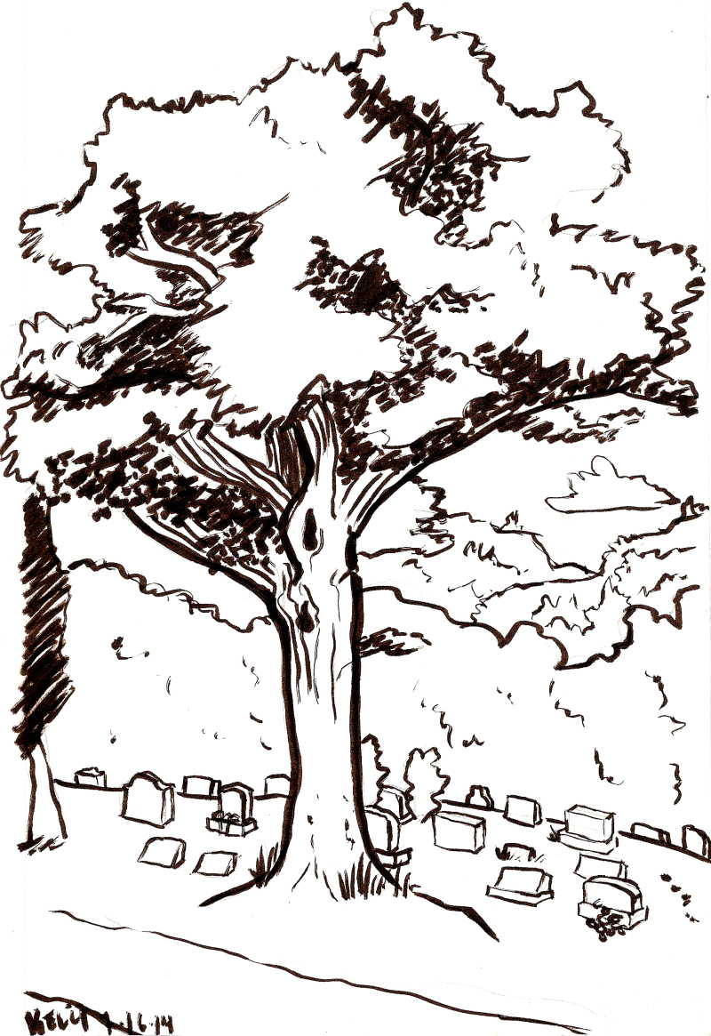 tree ink sketch